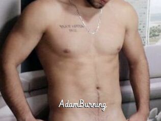 AdamBurning