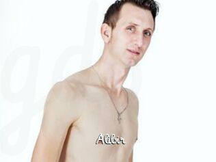 Alibir