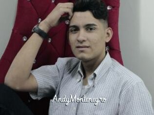 AndyMontenegro