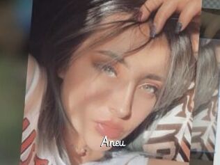 Aneu