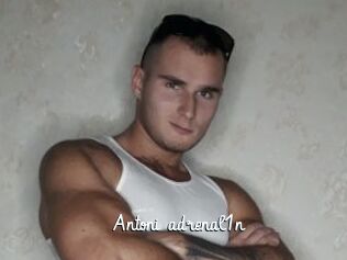Antoni_adrenal1n