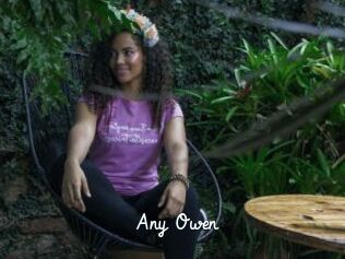 Any_Owen