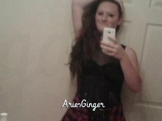 AriesGinger