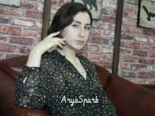 AryaSpark