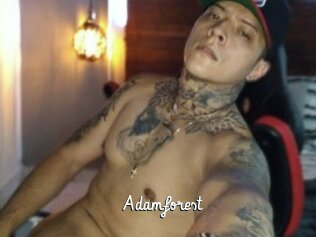 Adamforest