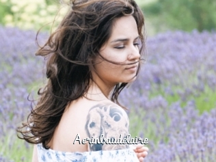 aerinbaudelaire Galerie du Sexe