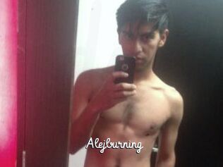 Alejburning