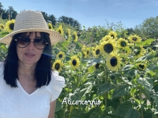 Alicescorpio