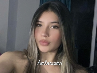 ambercams Galerie du Sexe
