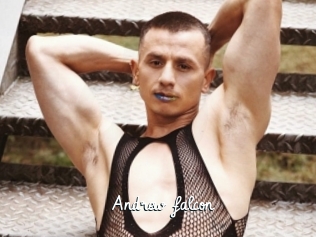 Andrew_falcon
