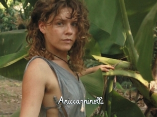 Aniccaspinelli