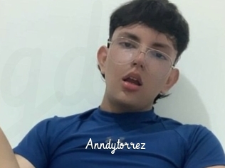 Anndytorrez
