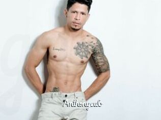 Anthonycub