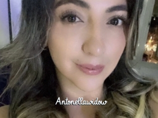 Antonellawidow