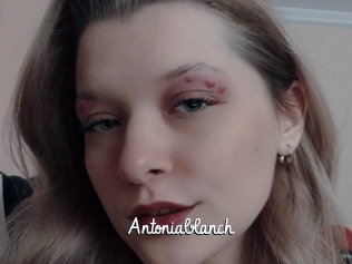 Antoniablanch