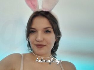 Antoniafudge