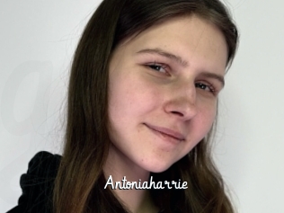 Antoniaharrie