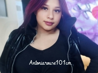 Antoniarouse101cm