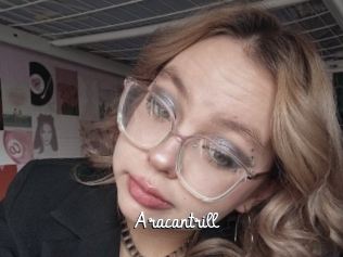 aracantrill Galerie du Sexe