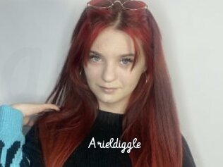 Arieldiggle