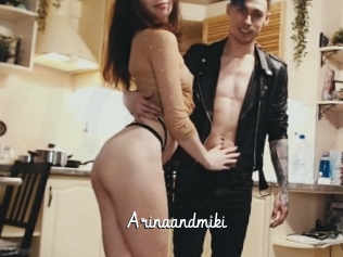Arinaandmiki