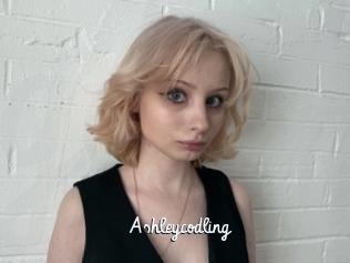 Ashleycodling