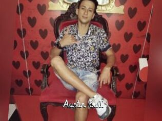 Austin_bull