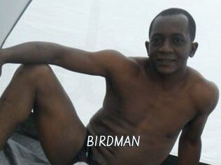 BIRDMAN Galerie du Sexe