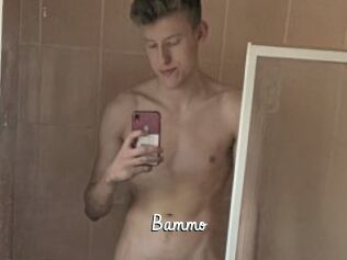 Bammo