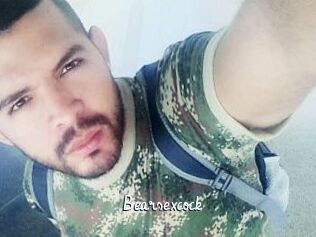 Bearsexcock