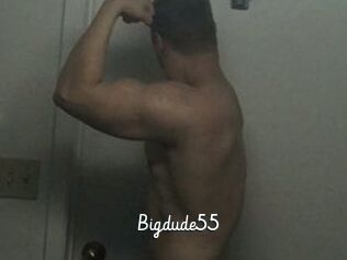 Bigdude55