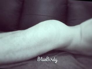 BlueBirdy