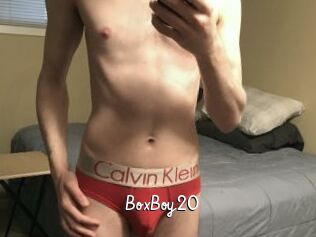 BoxBoy20