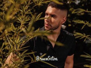 BruceSilva