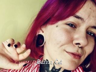 Buzzzz_Cat