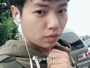 Bigcock214