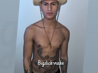 Bigdicksnake