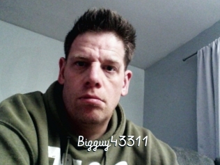 Bigguy43311