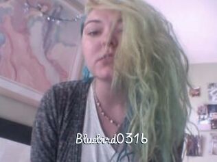 Bluebird0316