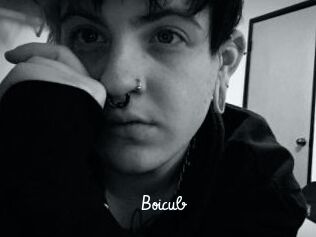 Boicub