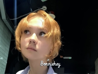 bonniehey Galerie du Sexe