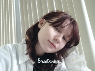 Breebaskett