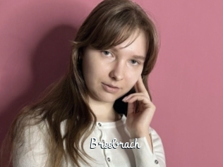 Breebrach