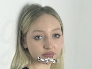Breefudge
