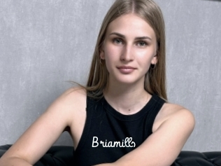 Briamills
