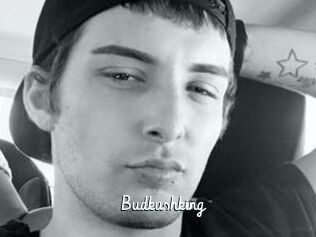 Budkushking