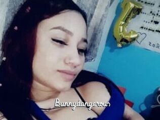 Bunnydangerous