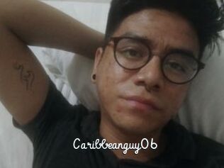 Caribbeanguy06