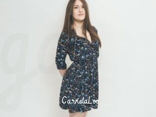 CarnetaLoo