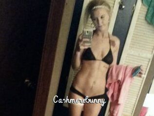 Cashmerebunny